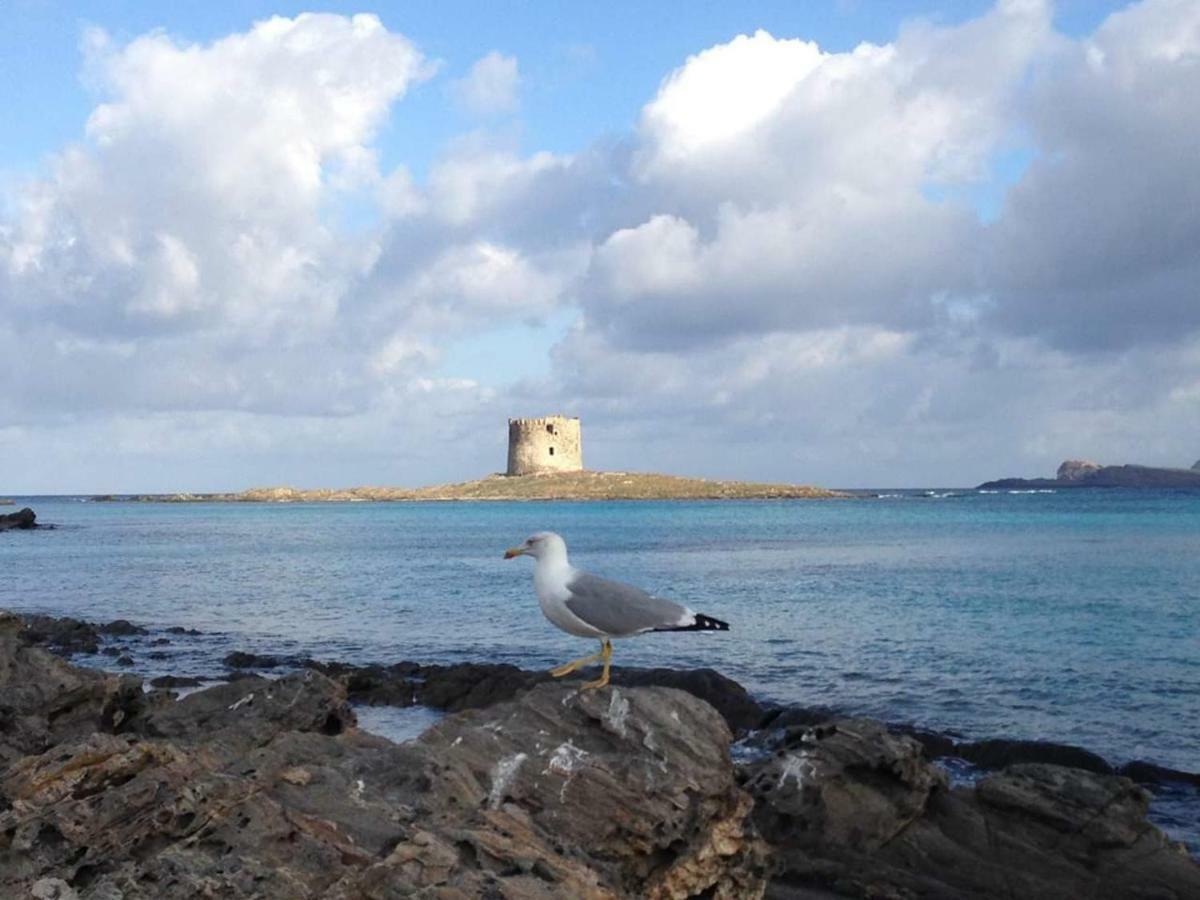 Villa Maria Antonietta House Porto Torres Exterior foto